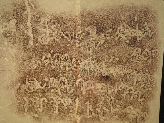 ancient viet script 7