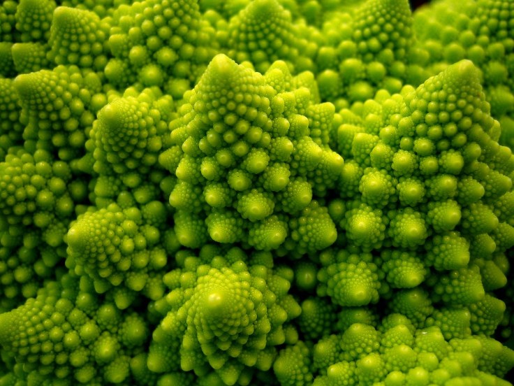 cauliflower-fractal