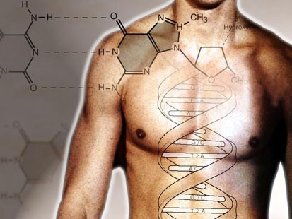 dna human