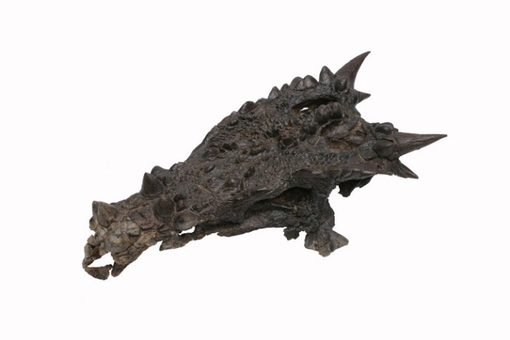 dragonskull