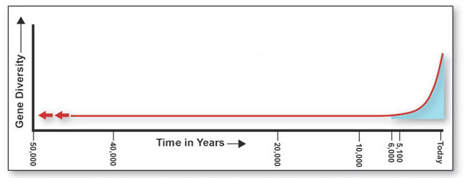 human timeline