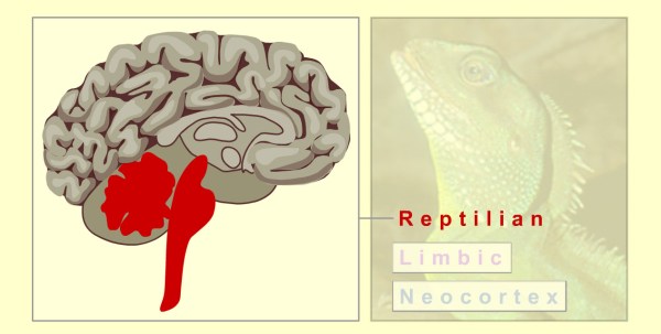 reptilian brain