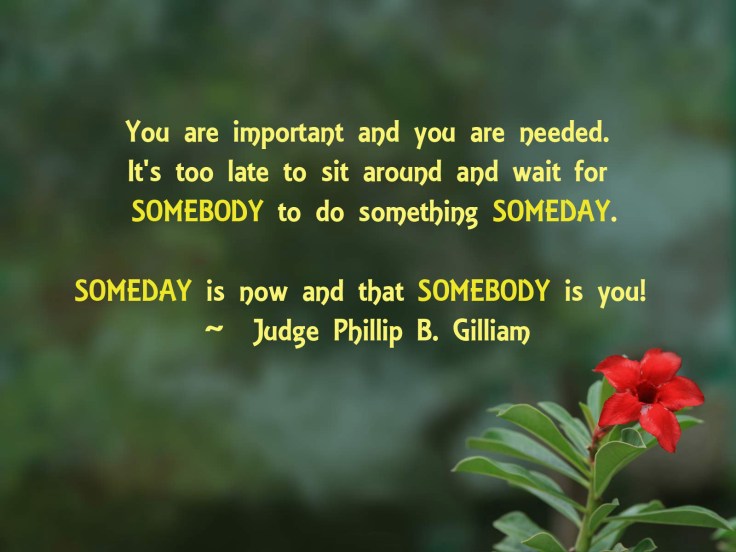 My beautiful picture