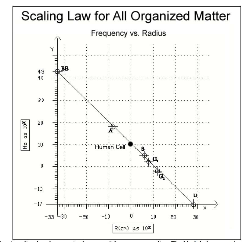scaling_law