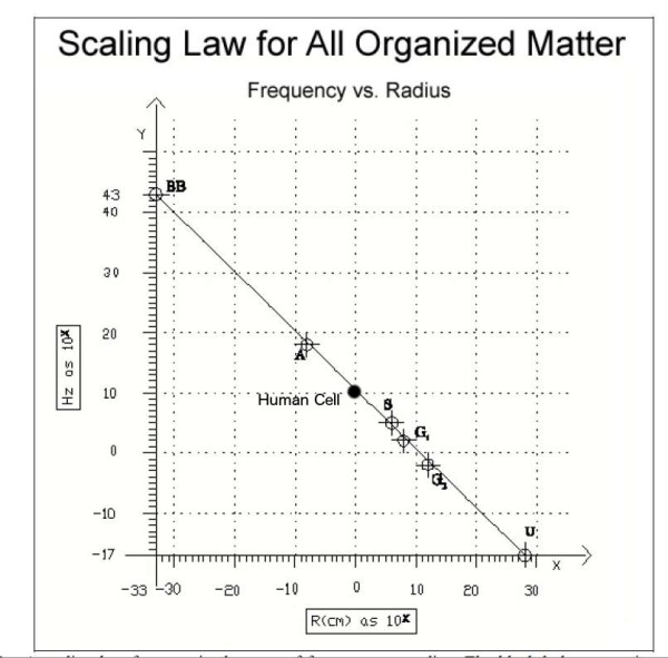 scaling_law
