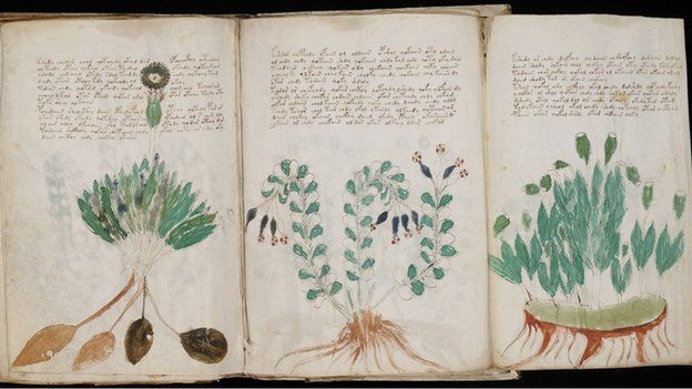 voynich_manuscript_170