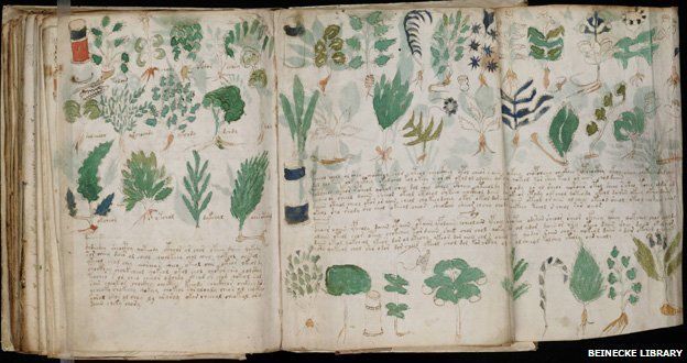 voynich_manuscript_178