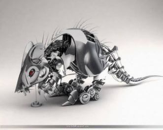 stainless-rat